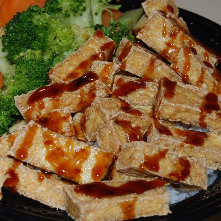 Tofu Delights: Japanese, Asian, and Vegetarian Options